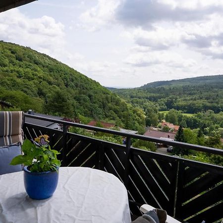 Ferienwohnung Zum Maerchenwald Bergfreiheit المظهر الخارجي الصورة