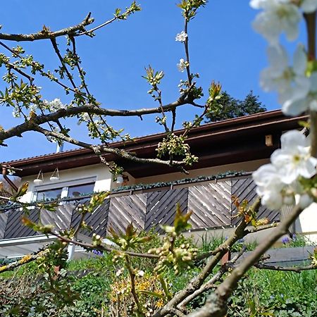 Ferienwohnung Zum Maerchenwald Bergfreiheit المظهر الخارجي الصورة