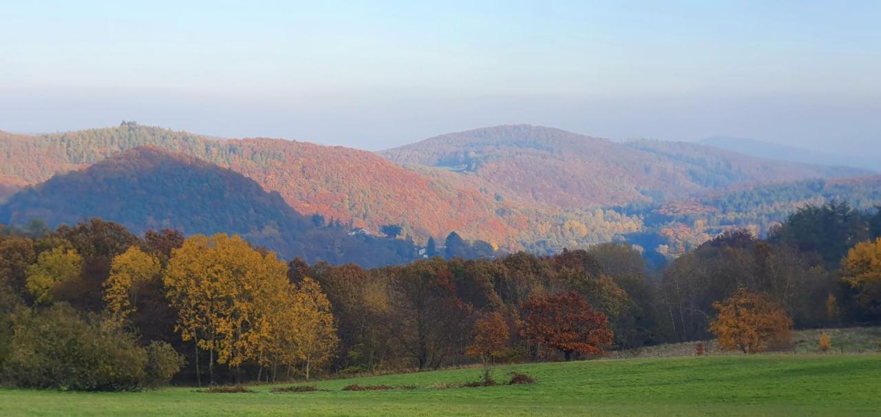 Ferienwohnung Zum Maerchenwald Bergfreiheit المظهر الخارجي الصورة