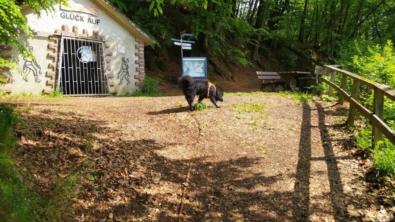 Ferienwohnung Zum Maerchenwald Bergfreiheit المظهر الخارجي الصورة