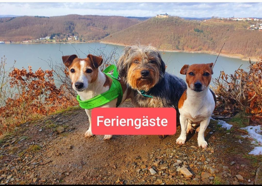 Ferienwohnung Zum Maerchenwald Bergfreiheit المظهر الخارجي الصورة