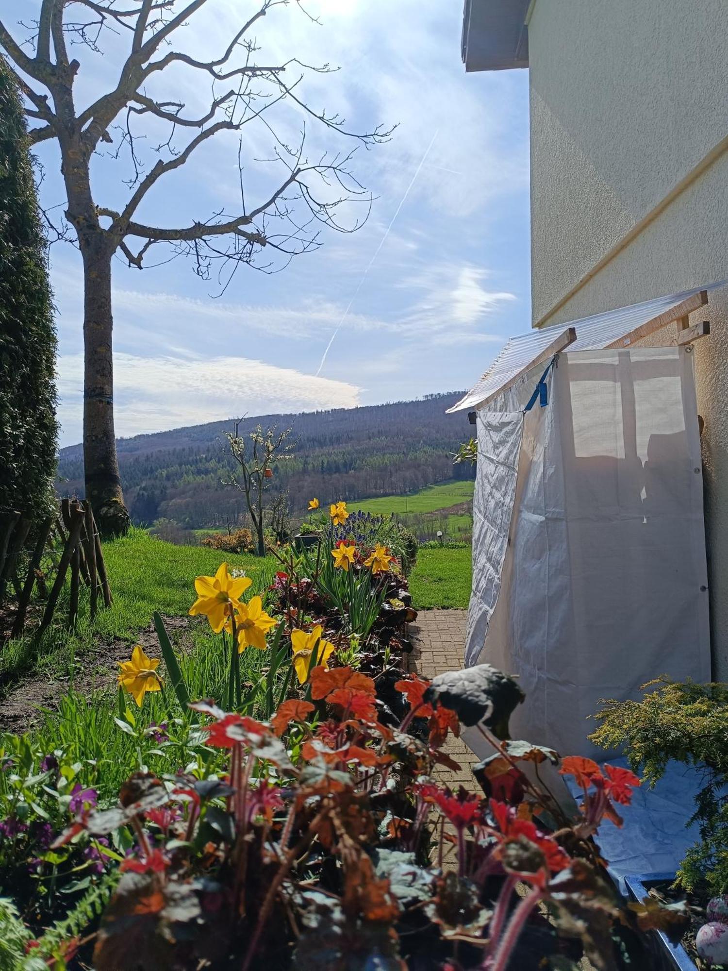 Ferienwohnung Zum Maerchenwald Bergfreiheit المظهر الخارجي الصورة